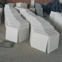 IMG_20240331_141227_952